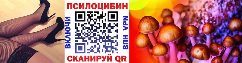 Псилоцибиновые грибы мицелий  мориарти Telegram  Шацк 