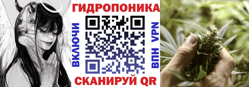 МАРИХУАНА план  Шацк 